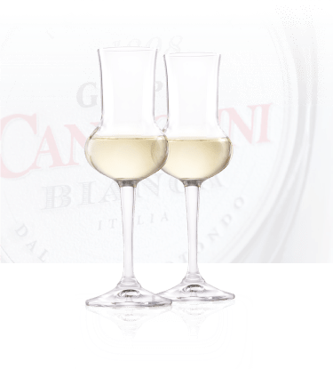 candolini classica